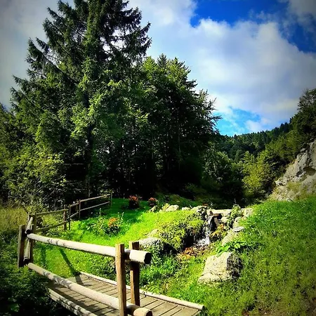 Divine House Casa vacanze *