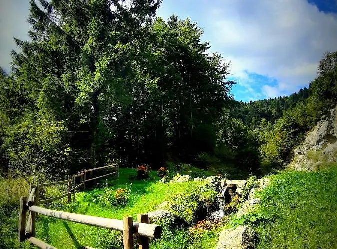 Divine House Casa de Férias *