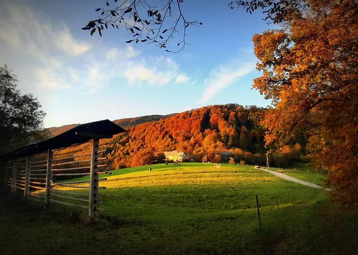 Divine House Casa de Férias *