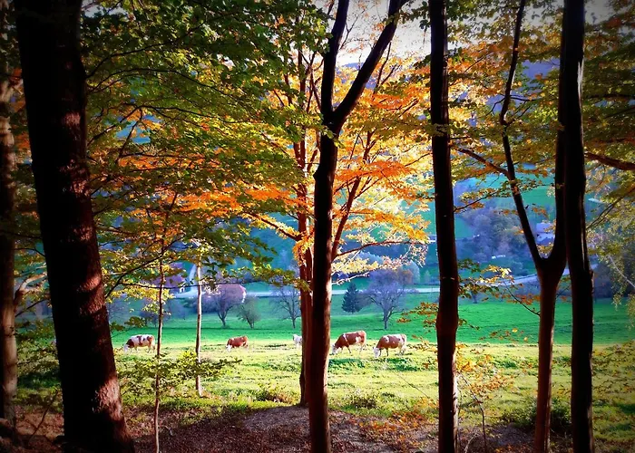 Divine House Casa de Férias Motnik