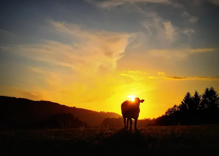 Casa de Férias Divine House